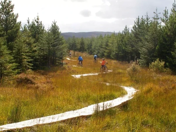 Derroura Mountain Bike Trail Courtesy Coillte