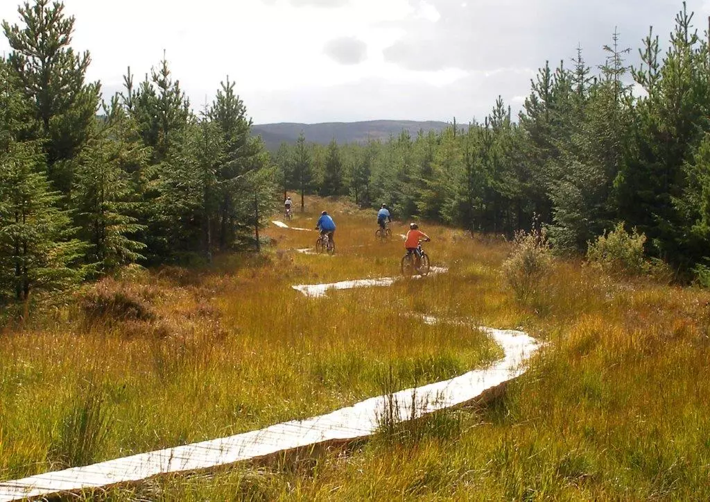 Derroura Mountain Bike Trail Courtesy Coillte