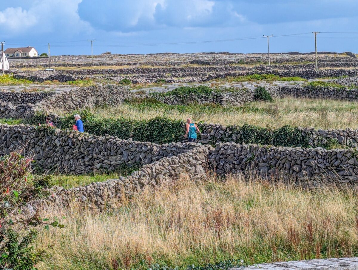 Endurance Races, Marathons, Half Marathons & Fun Runs 2026