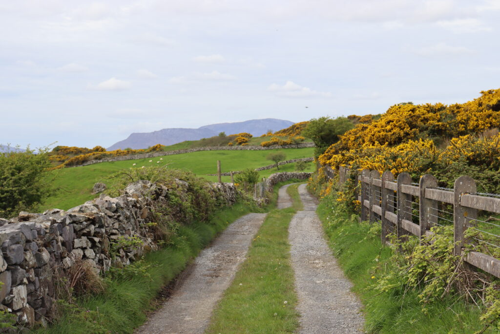 An Seanbhóthar - a 10km linear route between Corr na Móna and Clonbury.