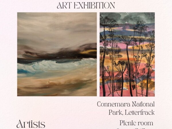 Art Exhibition Connemara National Park