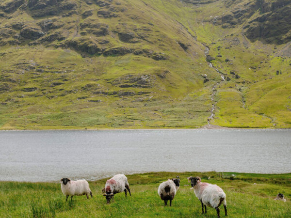 Lough Nafooey Scenic Drive