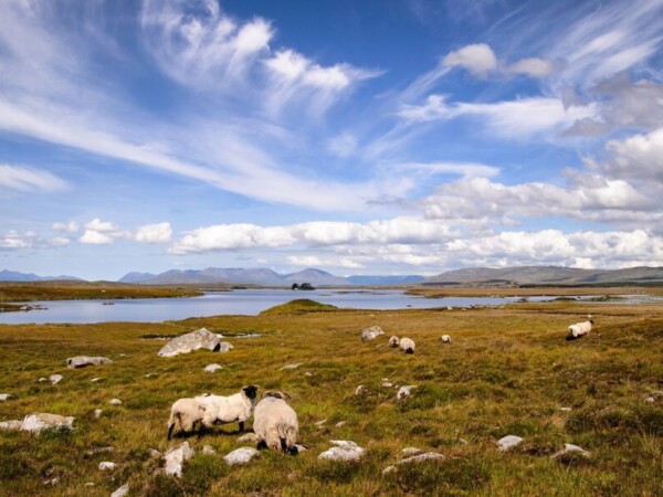 Roundstone to Clifden Drive