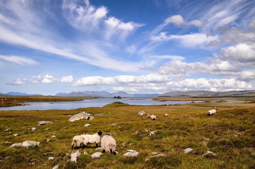 Roundstone to Clifden Drive