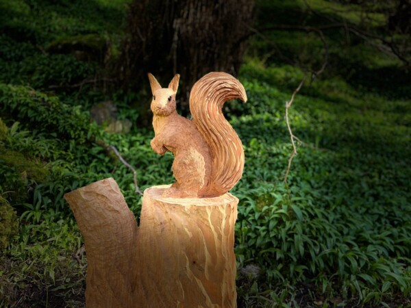 Wildlife Sculptures Connemara National Park