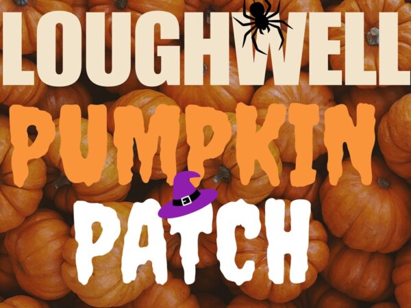 Halloween Pumpkin Patch Loughwell Farm