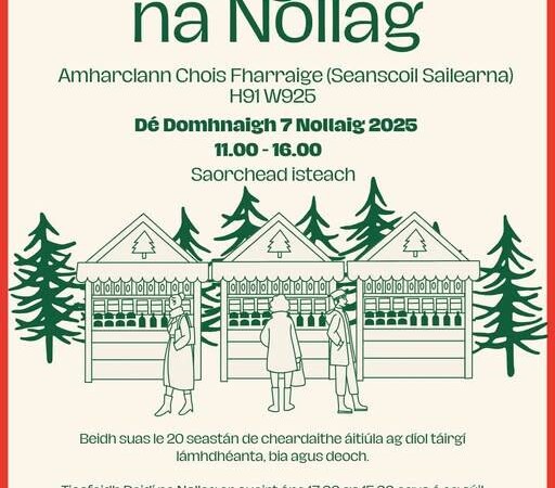 Margadh na Nollag Seanscoil Shailearna