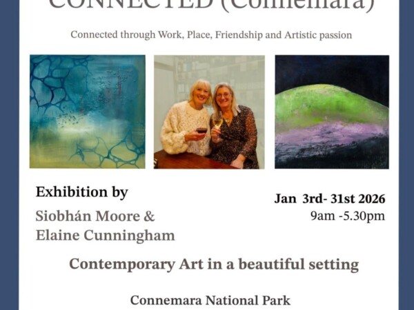 Art Exhibtion Connemara National Park