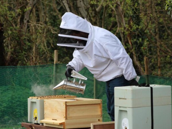 Join resident the Beekeeper  at Renvyle House Hotel for a Beginners Guide to Beekeeping Course in March.