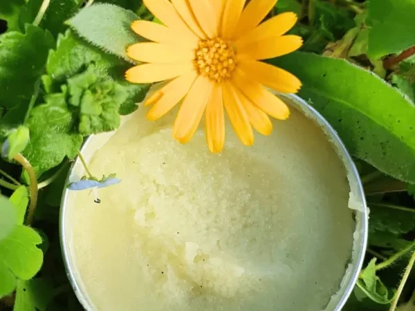 Celebrate Mother's Day at Brigit's Garden