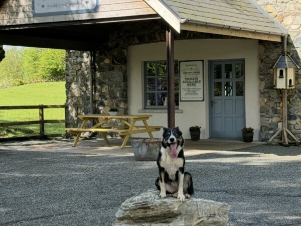 Glengowla Mines and Farm Experience