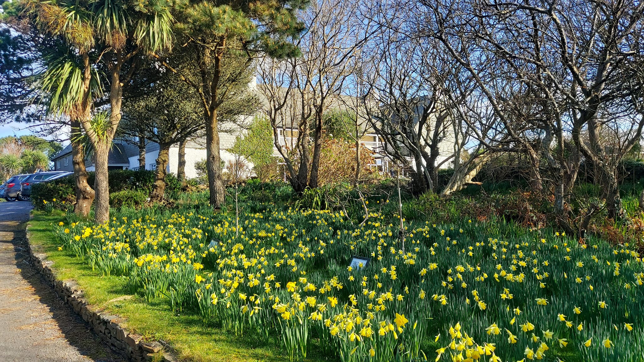 Renvyle House Garden